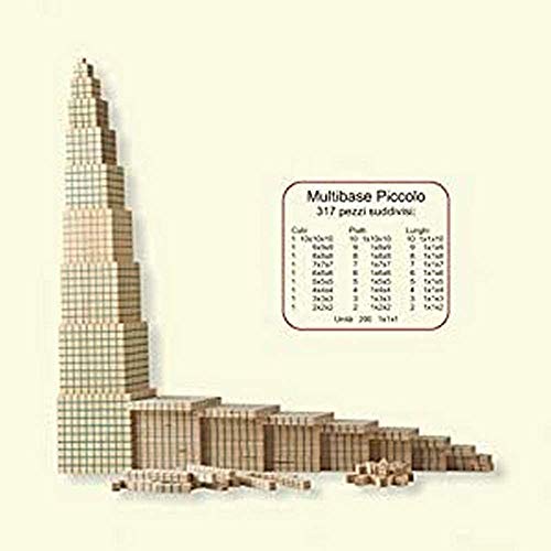Dida - Set mit 317 Basis-10 Holzblöcken, Montessori Lernmaterialien für Mathematik, Multibase Dienes Arithmetikblöcke für Kinder von Dida