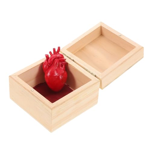 Didiseaon Realistisches Halloween Herzdekor in Holzbox mit Deckel Blutiges Herz Requisite für Gruselige Deko und Streiche Kinderfreundliches Anatomisches Herz Geschenk für Party und Didiseaon Realistisches Halloween Herzdekor in Holzbox mit Deckel Blutiges Herz Requisite für Gruselige Deko und Streiche Kinderfreundliches Anatomisches Herz Geschenk für Party und von Didiseaon