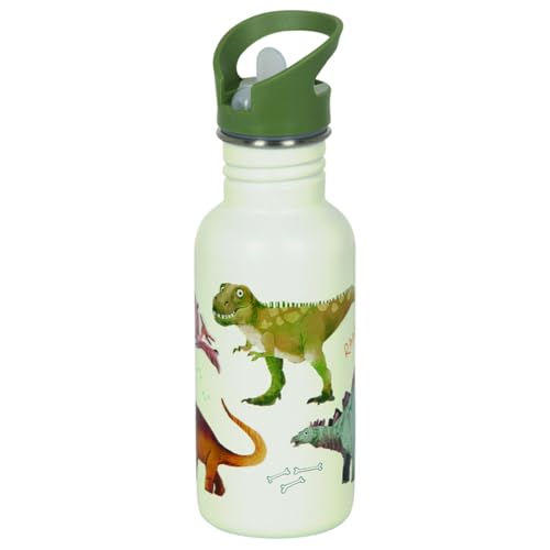 Coppenrath 21643 - Die Spiegelburg - Dino Friends - Edelstahlflasche (ca. 0,5l) von Die Spiegelburg