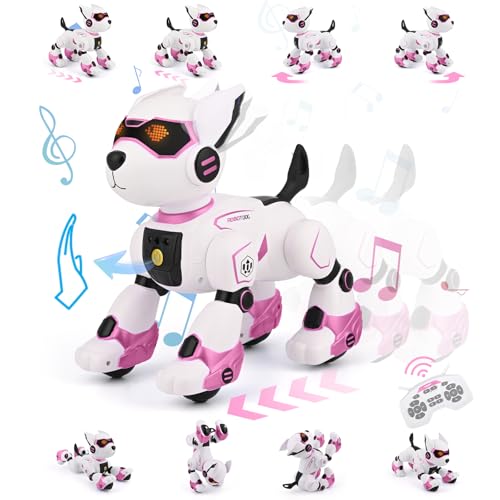 Diealles Shine Roboter Hund Kinder, Ferngesteuerter Hund Spielzeug, Programmierbarer Roboterhund, Gestensteuerung, Tierimitation, Musik, Tanz, Geschenke für Jungen und Mädchen 3-12 Jahren von Diealles Shine