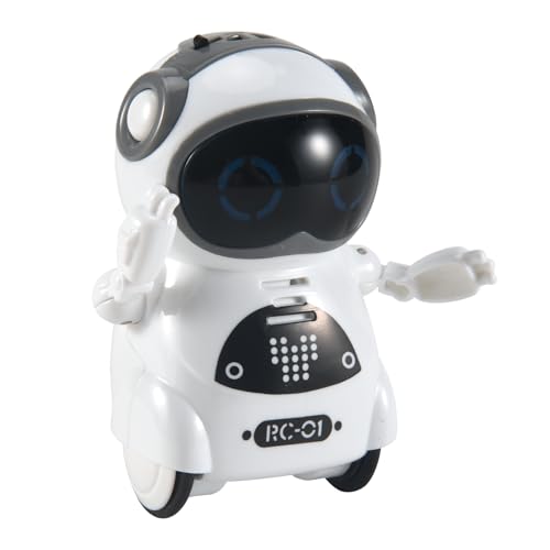 Diheohg Mini RC Roboter für Kinder mit Interaktiver Dialog Konversation, Spracherkennung, Plaudern Aufzeichnung, Singen und Tanzen von Diheohg