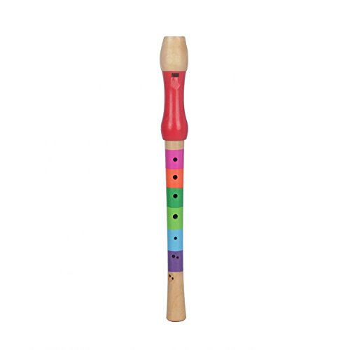 Dilwe Holz Recorder, - Farben erleichtern es, die Töne zu Lernen - glatter Oberfläche/ Kante - Bildung Holzflöte Ton Recorder Spielzeug für Kinder Anfänger(Mehrfarben) von Dilwe