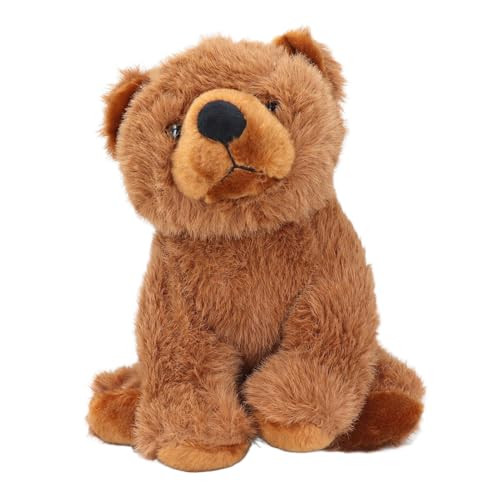 Dilwe Plüschtier, Simulationsbär-Stofftier, Süße Puppe mit Exquisiter Verpackung, für Home-Office-Ornament (Brown) von Dilwe