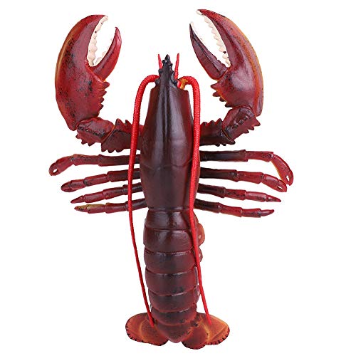 Dilwe Simulation Weichplastik Modell Seafood Restaurant Prop Dekoration Spielzeug für Kinder(23cm-Dunkle Farbe # 1) von Dilwe