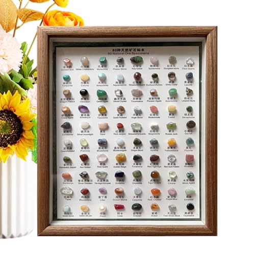 Felsen und Mineralien - 80x Assorted Raw Kit, Steinsammlung mit Holzrahmen | Dekoratives Mineralset für Lernen, Sammler, Feiertage, Geburtstage, besondere Anlässe Felsen und Mineralien - 80x Assorted Raw Kit, Steinsammlung mit Holzrahmen | Dekoratives Mineralset für Lernen, Sammler, Feiertage, Geburtstage, besondere Anlässe von Dinchaakuarry