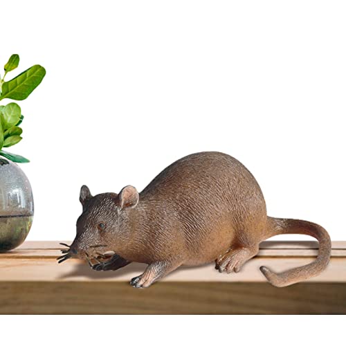 Simuliertes Mausmodell Für Streich - Lebhaftes Falsches Mausspielzeug, Dehnbare Gummimäuse | Spooky Trick Prop, Halloween Scare Spielzeug, April Fool's Day Dekoration Für Praktische Simuliertes Mausmodell Für Streich - Lebhaftes Falsches Mausspielzeug, Dehnbare Gummimäuse | Spooky Trick Prop, Halloween Scare Spielzeug, April Fool's Day Dekoration Für Praktische von Dinchaakuarry
