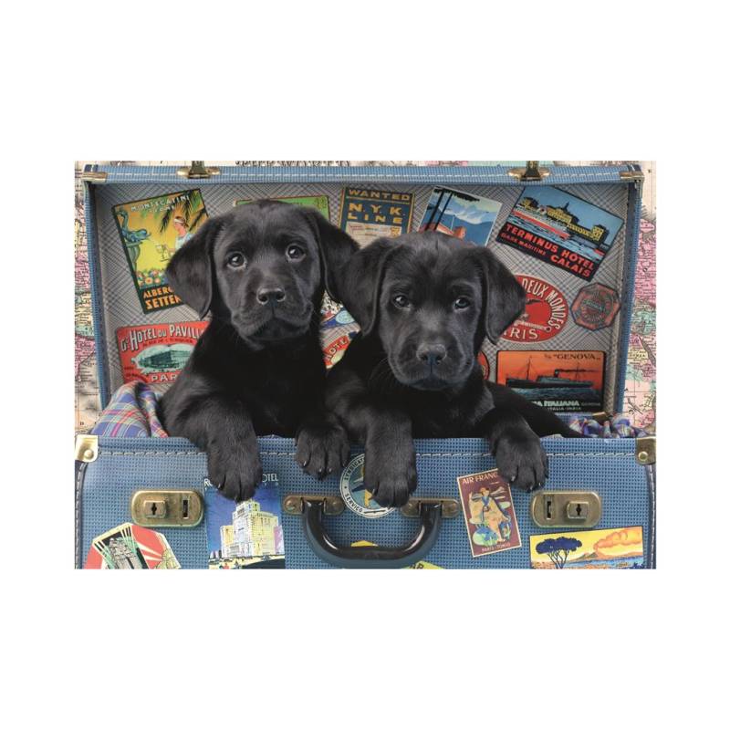 Dino Puppies in a Trunk 500 Teile Puzzle Dino-50258 von Dino