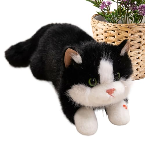 Dioeazh Süße Katze Plüsch,Plüschtiere Katze Spielzeug | Weiches Spielzeug Mit Sound Für Kinder Wohnzimmer Kinderzimmer Deko Geburtstag Weihnachten Partymitgebsel Dioeazh Süße Katze Plüsch,Plüschtiere Katze Spielzeug | Weiches Spielzeug Mit Sound Für Kinder Wohnzimmer Kinderzimmer Deko Geburtstag Weihnachten Partymitgebsel von Dioeazh