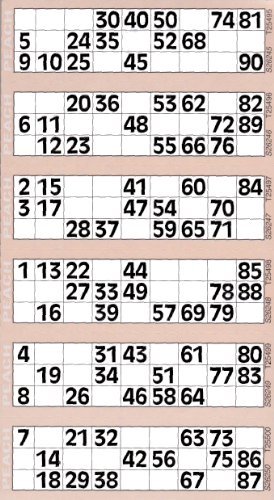 Bingosupermarket Lot de 6 planches et 600 tickets géants de bingo Bingosupermarket Lot de 6 planches et 600 tickets géants de bingo von Disney