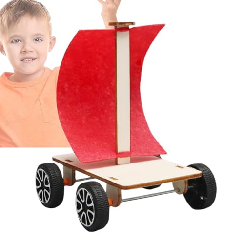 Djowyh Automodellbausatz, Wissenschaftsbausatz für Kinder - Autobausatz-Stammaktivitäten - Bauen Sie Ihr eigenes windbetriebenes Auto, Holzautobauprojekte, Bastelmodellbausatz für Freunde und Familie von Djowyh