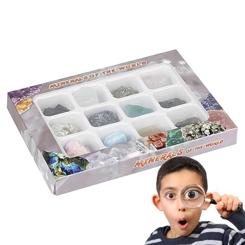 Dmuzsoih Crystal Stone Kit, Fels und Mineral Kit | Rock Probe Box Kit,Sammelwerkzeug mit Speicherwerkzeug für, Mädchen, Kinder, Kinder, Teenager von Dmuzsoih