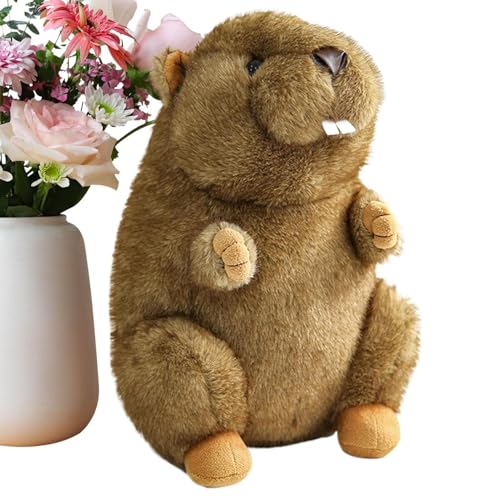 Doiyislem Plüschtier | Plüschtiere,Hautfreundliche Kissenfigur Kuschelige Puppe Für Kleinkinder Mädchen Kinder Geburtstag Valentinstag Weihnachten Doiyislem Plüschtier | Plüschtiere,Hautfreundliche Kissenfigur Kuschelige Puppe Für Kleinkinder Mädchen Kinder Geburtstag Valentinstag Weihnachten von Doiyislem