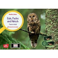 Eule, Fuchs und Hirsch. Tiere im Wald Eule, Fuchs und Hirsch. Tiere im Wald von Don Bosco Medien GmbH
