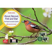 Amsel, Drossel, Fink und Star. Die Vögel in unserem Garten. Kamishibai Bildkarten und Memo-Spiel von Don Bosco Medien GmbH