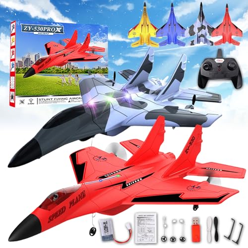 Donubiiu Wonstorex Rc Plane, Wonstorex Remote Control Fighter Jet, 2.4gHZ Rc Remote Control Fighter Model Toy, 360° Remote Control Gliders Airplane with Lights, Easy to Fly RC Fighter (2PCS-D) von Donubiiu