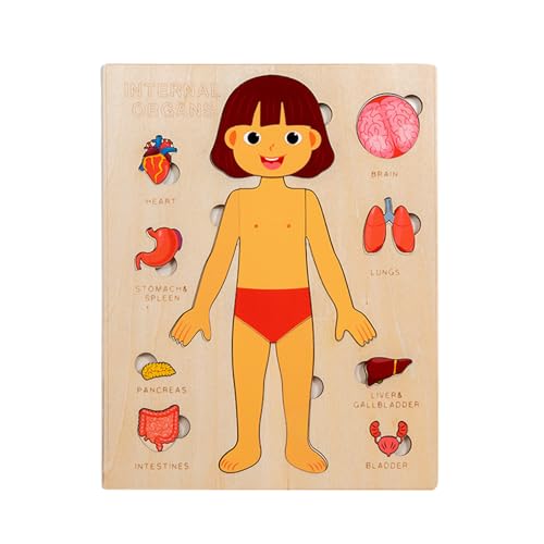 Dopsyesn Kinder Anatomie Spielzeug | Holz Lernspielzeug Menschliche Körperteile,Wissenschaftliches Spielzeug Für Kleinkinder Und Kinder Mädchen Kindergarten Schule Unterricht Dopsyesn Kinder Anatomie Spielzeug | Holz Lernspielzeug Menschliche Körperteile,Wissenschaftliches Spielzeug Für Kleinkinder Und Kinder Mädchen Kindergarten Schule Unterricht von Dopsyesn