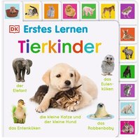 DORLING KINDERSLEY 467/04562 Erstes Lernen. Tierkinder von Dorling Kindersley