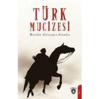 Türk Mucizesi von Dorlion Yayinlari