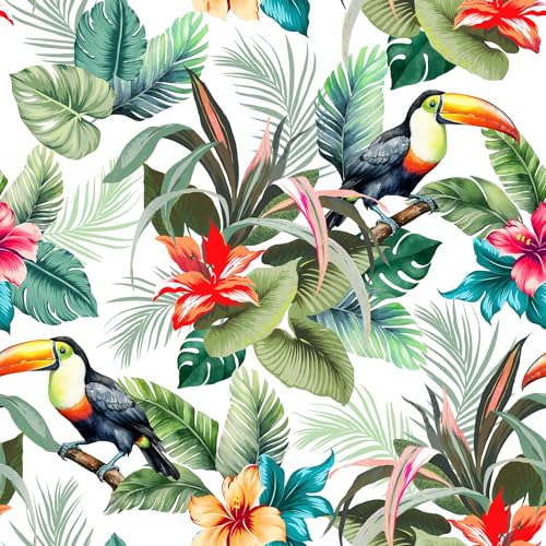 Douceur d'Intérieur 1703319 Rolle 1,40 m x 20 m, weiß, 1,4mx20m Douceur d'Intérieur 1703319 Rolle 1,40 m x 20 m, weiß, 1,4mx20m von Douceur d'Intérieur