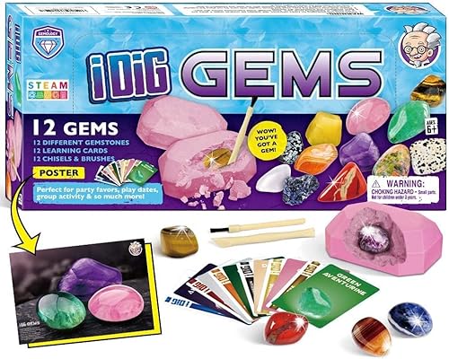 Edelstein Ausgrabungsset für Kinder 12 Mineralien Steine Ausgrabungs Spielzeug Mädchen Archäologie Geburtstagsgeschenk Set von EDUMAN