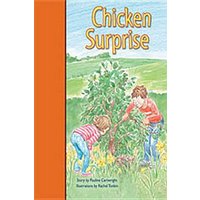 Rigby PM Stars Bridge Books: Leveled Reader Bookroom Package Orange Chicken Surprise von Houghton Mifflin Harcourt P