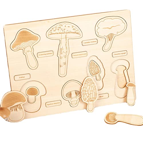 Dranng Holz-Lebenszyklus-Tablett, Lebenszyklus-Puzzles - Naturspiel-Lehrspielzeug | Lernpuzzle, LifeCycle Tablett Schulprojekt Pilz Pflanzenwachstumszyklus Partygeschenke für Jungen von Dranng