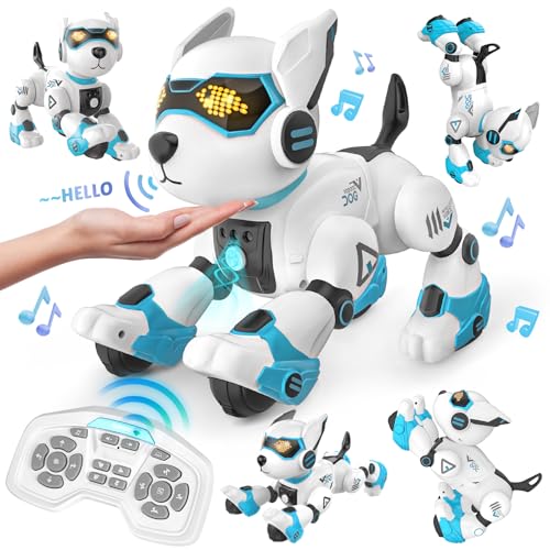 Dreamon Roboter Hund Kinder, Ferngesteuerter Hund Spielzeug Gestensteuerung Interaktive Berührung Programmierbar Tanzmusik Nachahmung von Tiergeräuschen Geschenke für Jungen und Mädchen von Dreamon