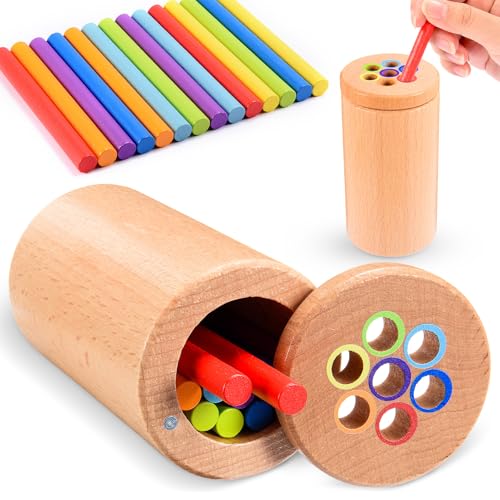 Dromlag Baby Spielzeug 1 2 3 Jahr,Montessori Spielzeug ab 1-3 Jahre Holz Farbe Sortierspielzeug Holzspielzeug ab 1-3 Jahr Montessori Spielzeug Baby Spielzeug 1 Jahr Sensorik Spielzeug Baby von Dromlag