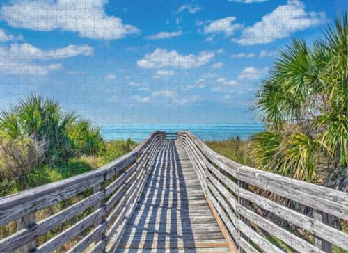 1000 Teile Puzzle für Erwachsene, Lernspiele, Familienpuzzle, Holz-Puzzle, Boardwalk zum Strand, umgeben von Palmen, Florida, DIY-Puzzle, kreativer Spaß, klassisches Puzzle für Erwachsene und Kinder von Dsawqezh