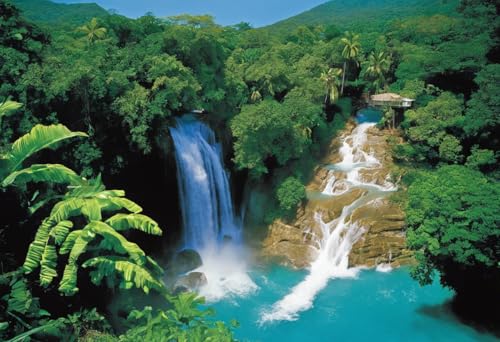 1000 Teile herausforderndes Puzzle für Erwachsene, Dunn's River Falls In Jamaika, Holz-Puzzle, DIY, Familienunterhaltung, interaktives Spaß-Puzzle, Geschenke, Kunst, Heimdekoration von Dsawqezh