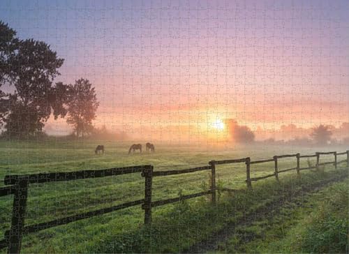 1000-teiliges Puzzle für Erwachsene, Pferd, Sonnenaufgang, Morgendämmerung, Weide, Landschaft, Morgenpuzzle, für Jugendliche und Kinder, um ihr Gehirn zu trainieren, Holzpuzzle von Dsawqezh