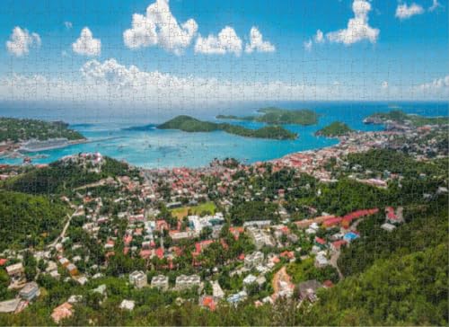 500-teiliges Puzzle für Erwachsene, Lernspiele, Familienpuzzles, Panorama-Landschaftsansicht Stadtbucht und Kreuzfahrthafen, Charlotte, DIY-Puzzle, kreativer Spaß, klassisches Puzzle für Erwachsene von Dsawqezh