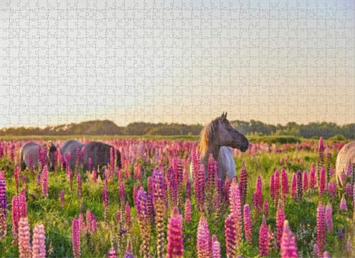 500-teiliges Puzzle für Erwachsene, Lupinen bei Sonnenuntergang, Puzzles für Jugendliche und Kinder, um ihr Gehirn zu trainieren, Holzpuzzle von Dsawqezh