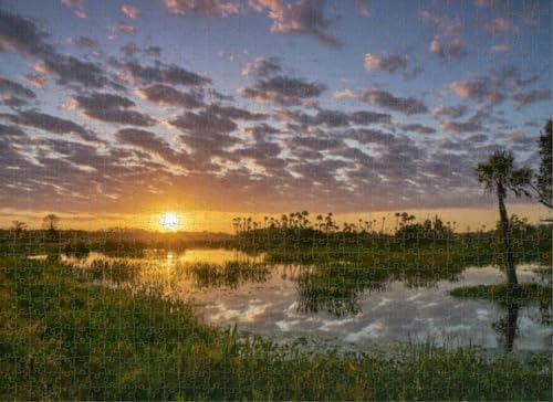 500-teiliges Puzzle für Erwachsene, atemberaubendes Orlando Wetlands Park während eines lebendigen Sonnenaufgangs, zentrale Puzzles für Jugendliche und Kinder, um ihr Gehirn zu trainieren, Holzpuzzle von Dsawqezh