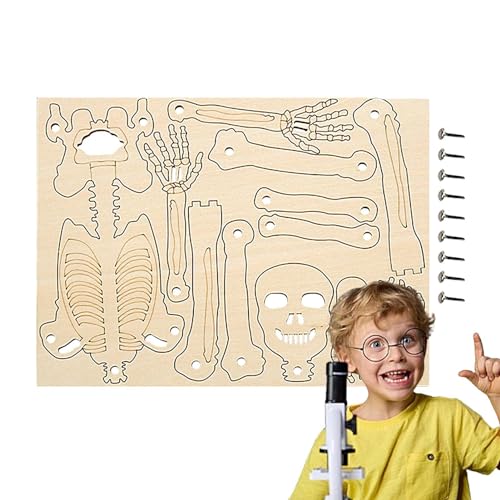 Dtaigou Skelett-Actionfigur, Skelett-Spielzeug | Winziges menschliches Körpermodell | Winziges anatomisches Skelett-Studienspielzeug, Abnehmbarer Skelett-Strukturbau des menschlichen Körpers für von Dtaigou