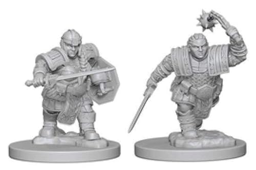 WizKids WZK72617 Dungeons_&_Dragons Zubehör, Fighter W2, Female von Dungeons & Dragons