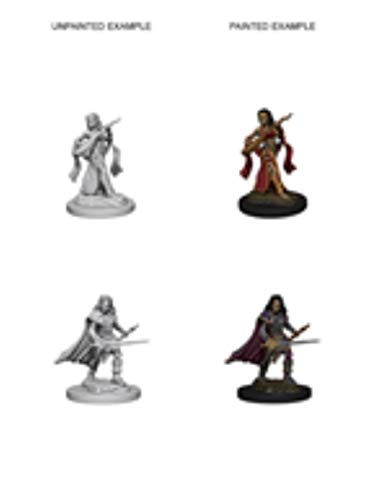 Wizkids Games WZK72610 Zubehör von Dungeons & Dragons