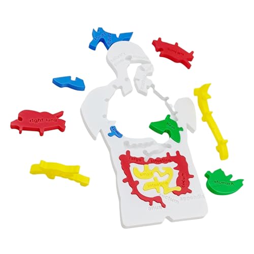 Duroecsain Human Body Puzzle Modell - Menschliches Verdauungssystem Puzzlemodell,Wissenschaftliches Lernspielzeug Für Kinder Jugendliche Lehrer Mädchen Duroecsain Human Body Puzzle Modell - Menschliches Verdauungssystem Puzzlemodell,Wissenschaftliches Lernspielzeug Für Kinder Jugendliche Lehrer Mädchen von Duroecsain