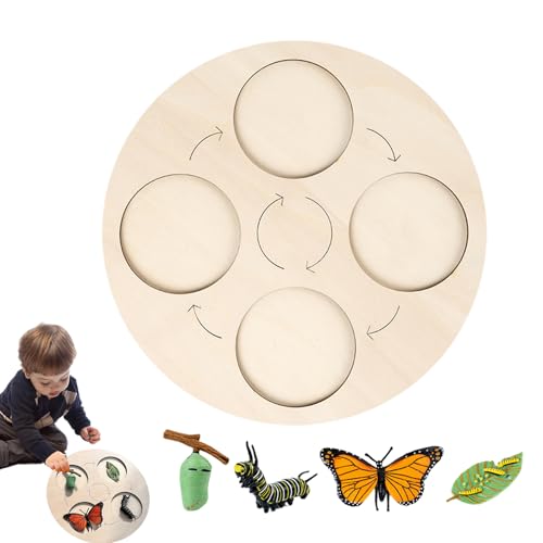 Duroecsain Schmetterlings-Lebenszyklus – mitwachsendes Puzzle für – Wissenschaftsspiel aus Holz, interaktiv, lebendige Farben für – Schmetterling, Frosch, Henne Duroecsain Schmetterlings-Lebenszyklus – mitwachsendes Puzzle für – Wissenschaftsspiel aus Holz, interaktiv, lebendige Farben für – Schmetterling, Frosch, Henne von Duroecsain