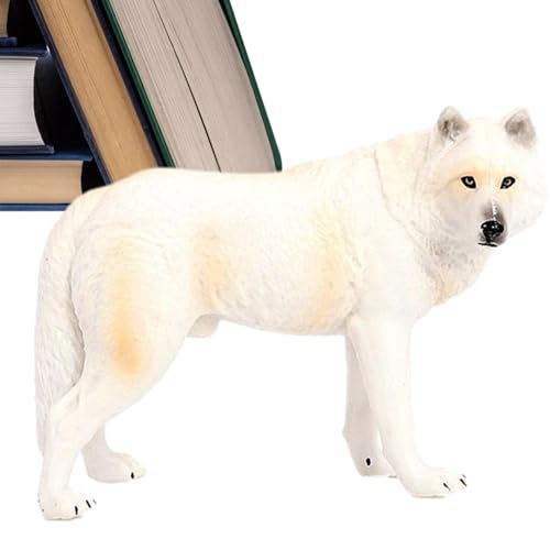 Duroecsain Wolf Spielzeug – Realistisches Modell des simulierten wilden Wolfs – Tier-Actionfigur für Tiersammlung Wolf Cake Toy für Alter 3-5 6-12 Kinder von Duroecsain