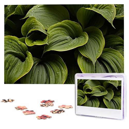 Moist Hosta Leaves Print Puzzles Personalisiertes Bilderpuzzle 1000 Teile Holzpuzzle Herausforderndes Fotopuzzle für Hochzeit Geburtstag Valentinstag Geschenke 74,9 x 50 cm von Dwrepo