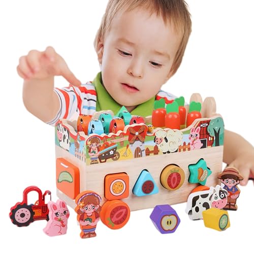 Dyeulget Karottenform-Matching-Spiel, Formpuzzle für Kinder - Farbformsortierer Aktivitätspuzzle Montessori-Spielzeug | Formsortierer-Lernspielzeug, farbenfrohes Aktivitätspuzzle für frühes Lernen von Dyeulget