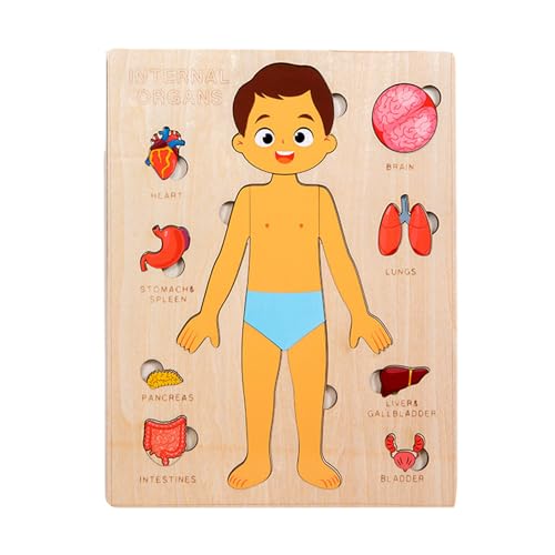 DzpKrka Körperteile Buch Für Kleinkinder 1-3 - Pädagogisches Holz Puzzle Vom Menschlichen Körper | Frühpädagogisches Lernspielzeug Für Kinder Und Jugendliche Mädchen DzpKrka Körperteile Buch Für Kleinkinder 1-3 - Pädagogisches Holz Puzzle Vom Menschlichen Körper | Frühpädagogisches Lernspielzeug Für Kinder Und Jugendliche Mädchen von DzpKrka