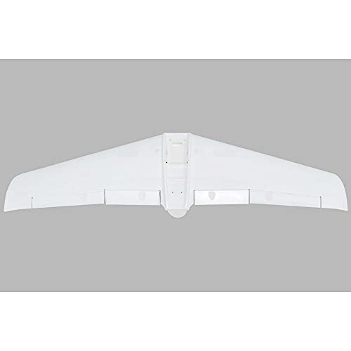 Painted Wing V1200 von E-Flite