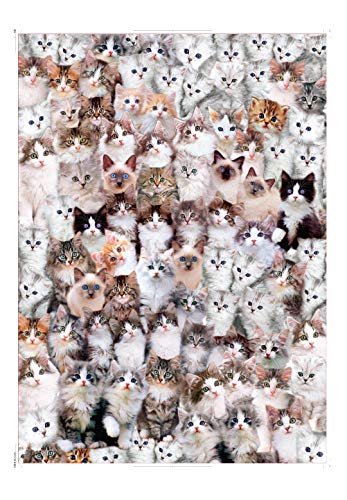 EACHHAHA Puzzle 1000 Teile,Erwachsene Puzzle Katze,Ein Puzzle aus vielen Arten von niedlichen Katzen,Ein tolles Geschenk für Ihren katzenliebenden Freund（70 x 50 cm von EACHHAHA