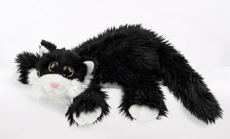 EBO 50054 - Kater Freddy, 23cm, Glitzerglubschaugen von EBO Plüschtiere