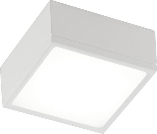 ECO-Light LED-KLIO-Q11 LED-KLIO-Q11 Deckenleuchte LED 16W Weiß von ECO-Light