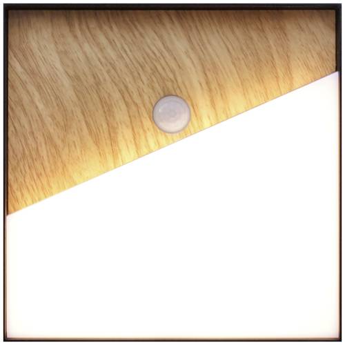 ECO-Light MEG + PIR 9490-Q-PIR WO LED-Wandleuchte mit Bewegungsmelder LED fest eingebaut 5W LED Holz von ECO-Light