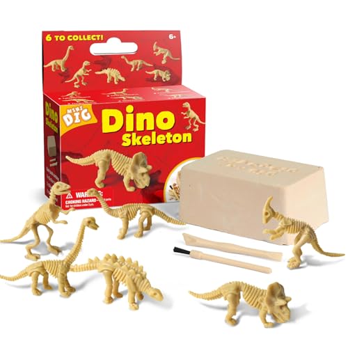 EDUMAN Mini Dig, Dino Skelett, 6 sortiert EDUMAN Mini Dig, Dino Skelett, 6 sortiert von EDUMAN