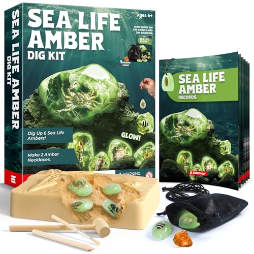 EDUMAN Ocean Life Amder Grabset von EDUMAN